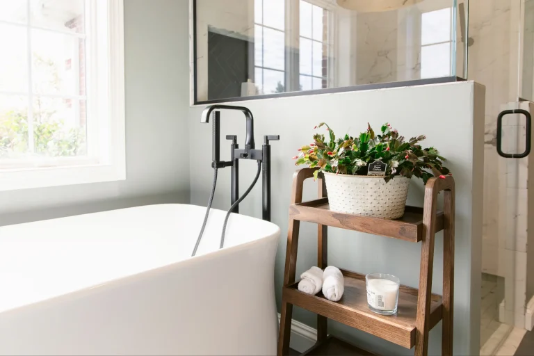 Modern bathroom with plant and tub